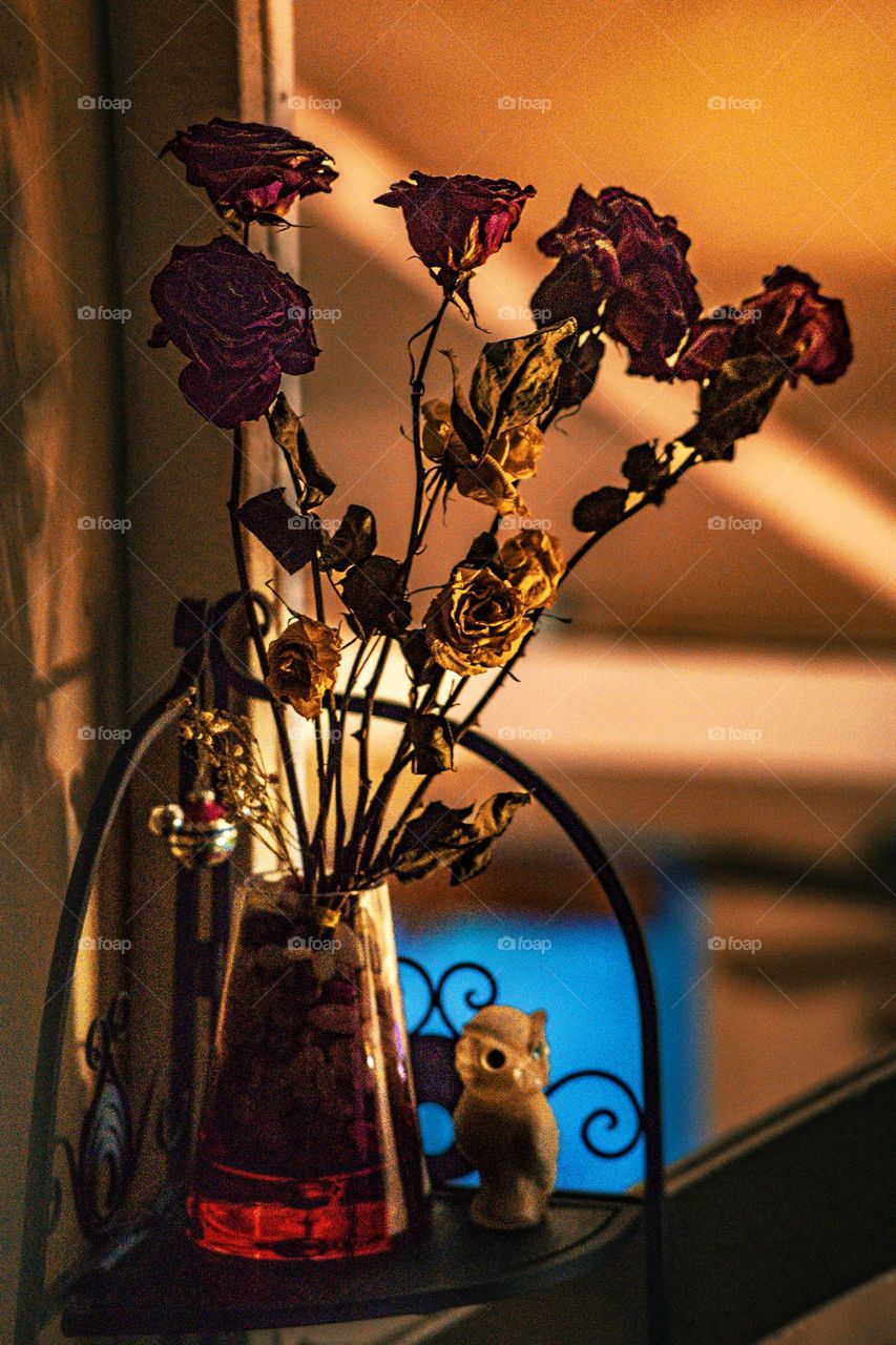 Vase with red and white roses.