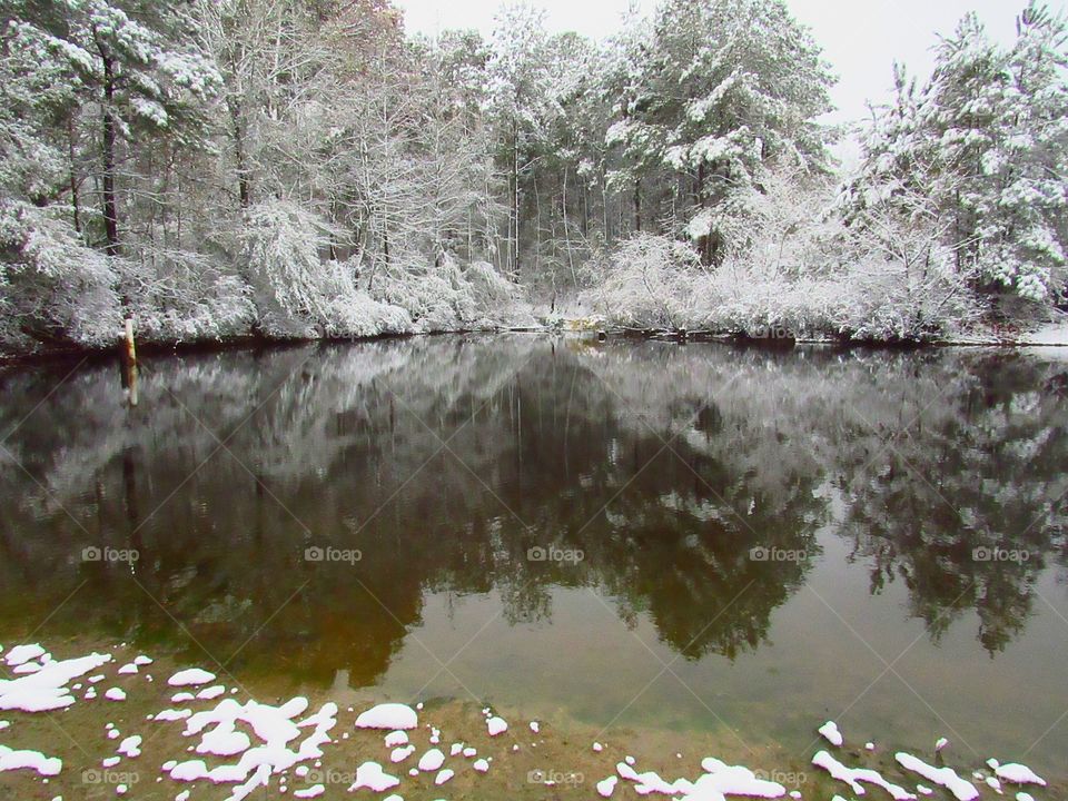 snow capped trees water reflections