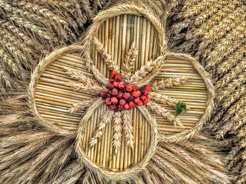 A composition of dried plants. 