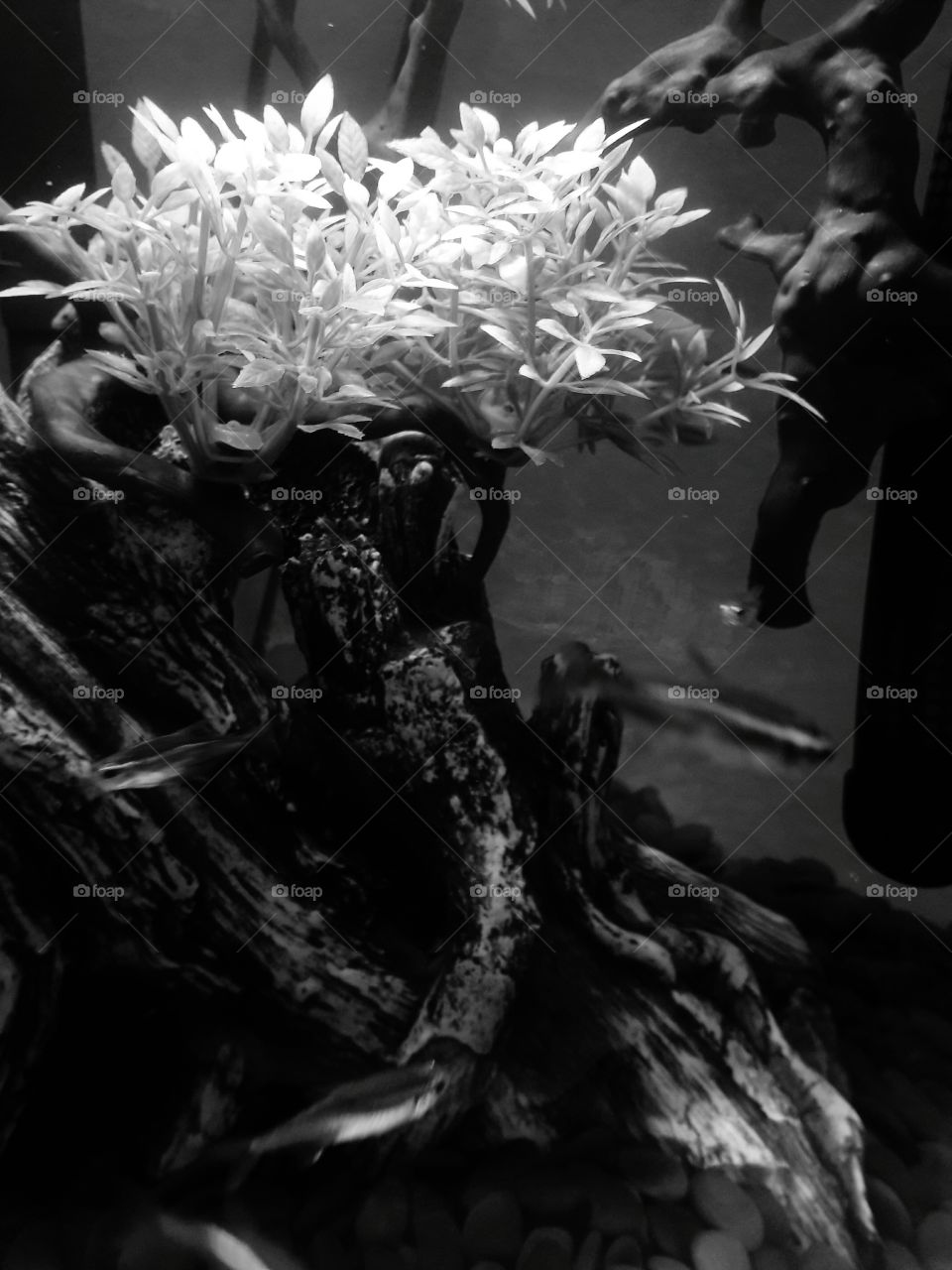 all about wild nature and weather