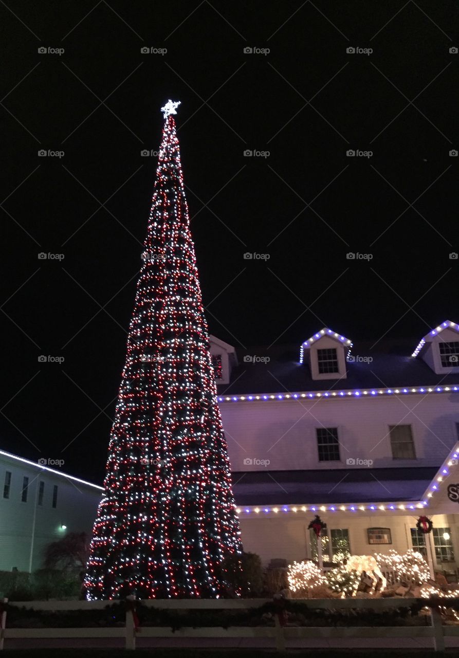 Tall Christmas tree