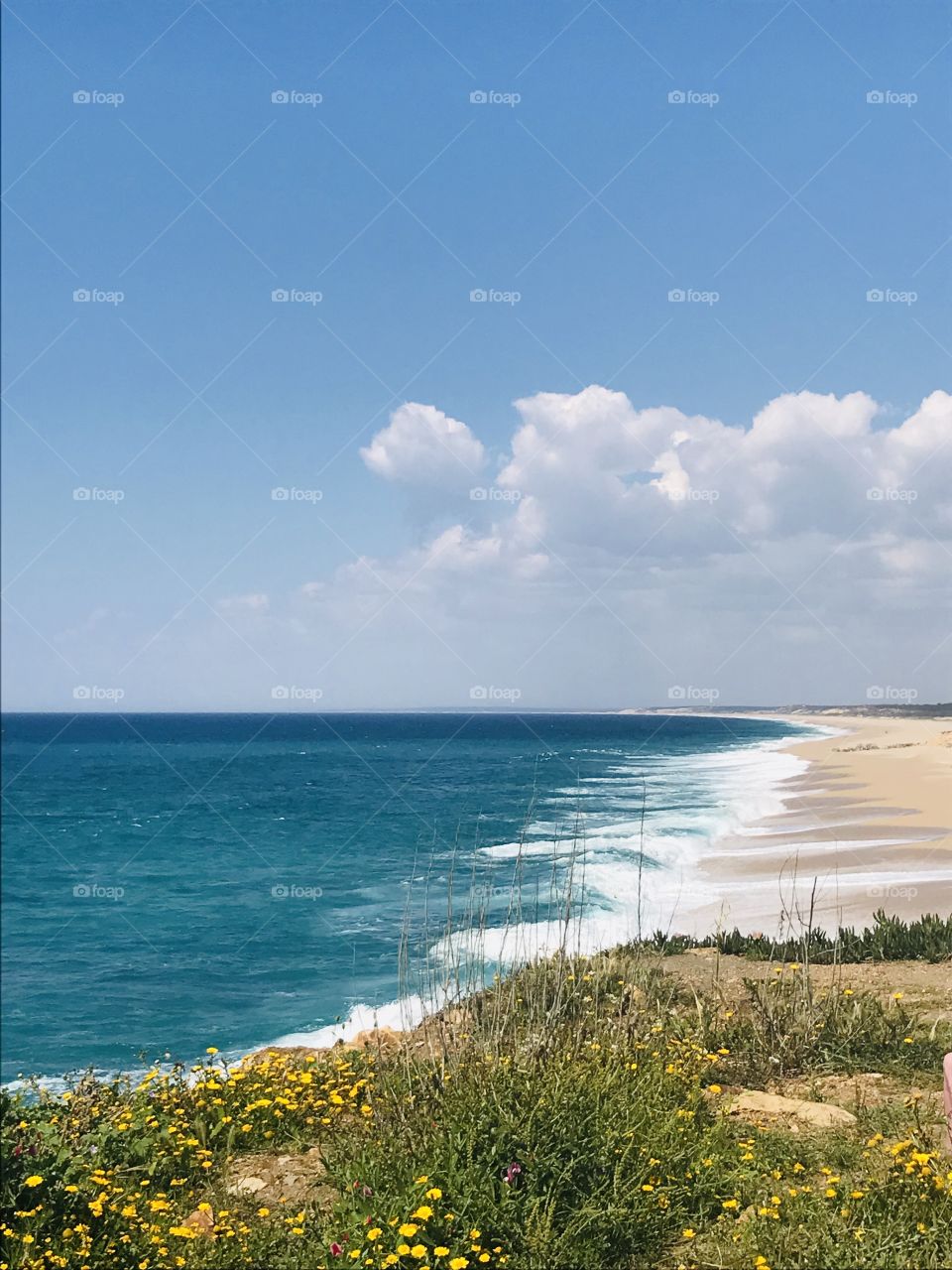 Canto mosqueiro, costa do norte, Sines, Portugal 🇵🇹