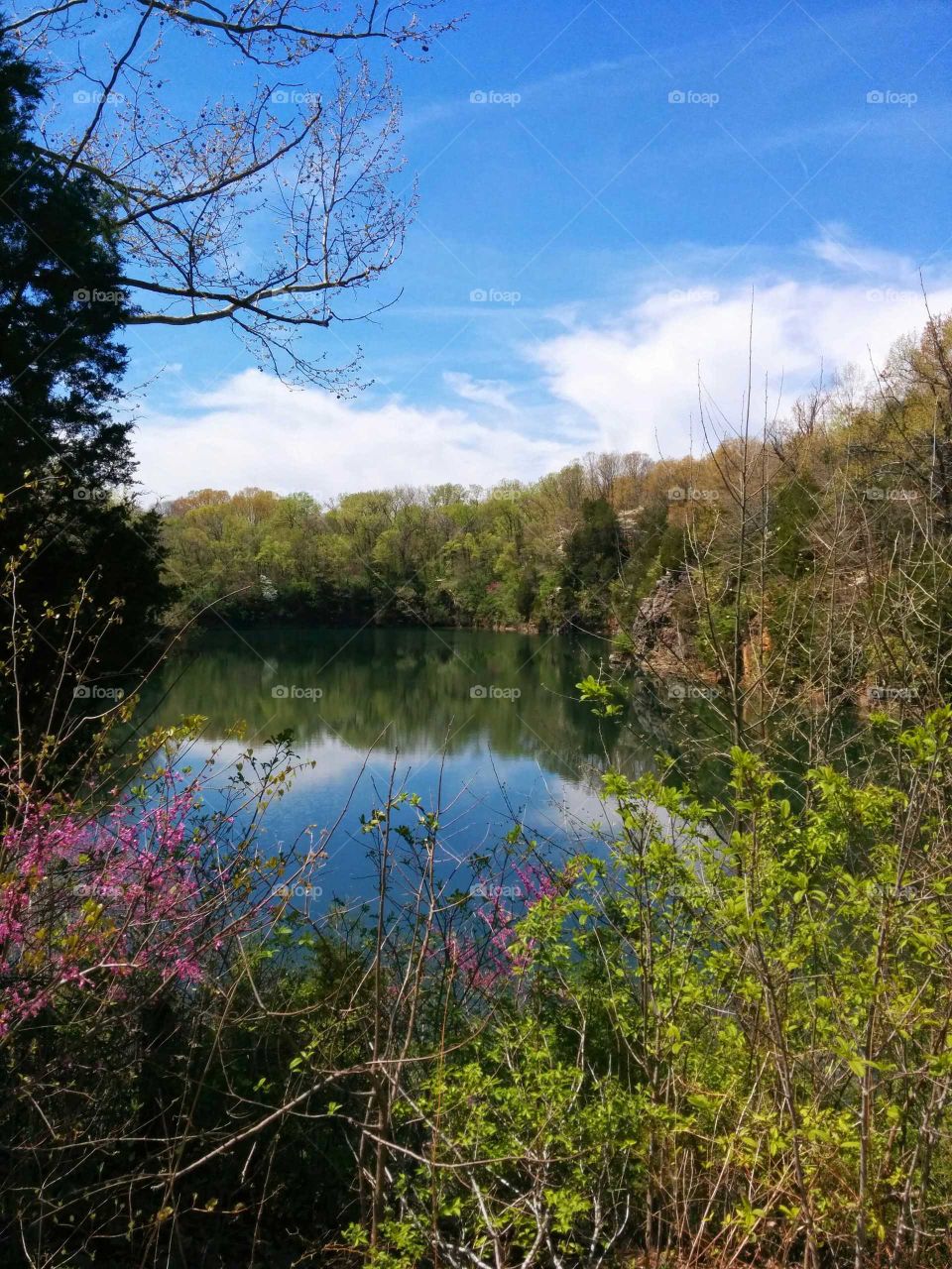 lake in the spring