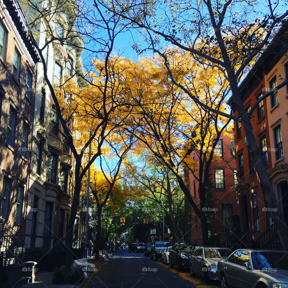 Fall in the West Village 🍂
West Village, New York 