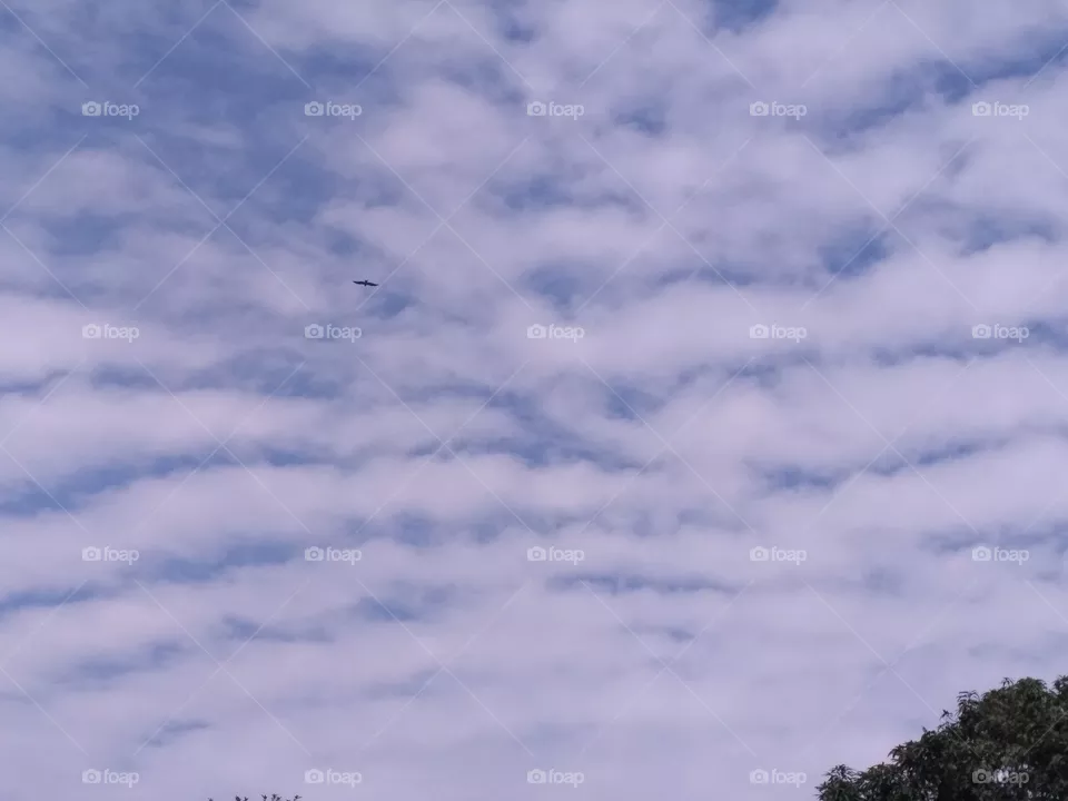 Cloudy day