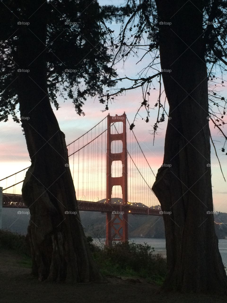 Golden Gate Bridge 