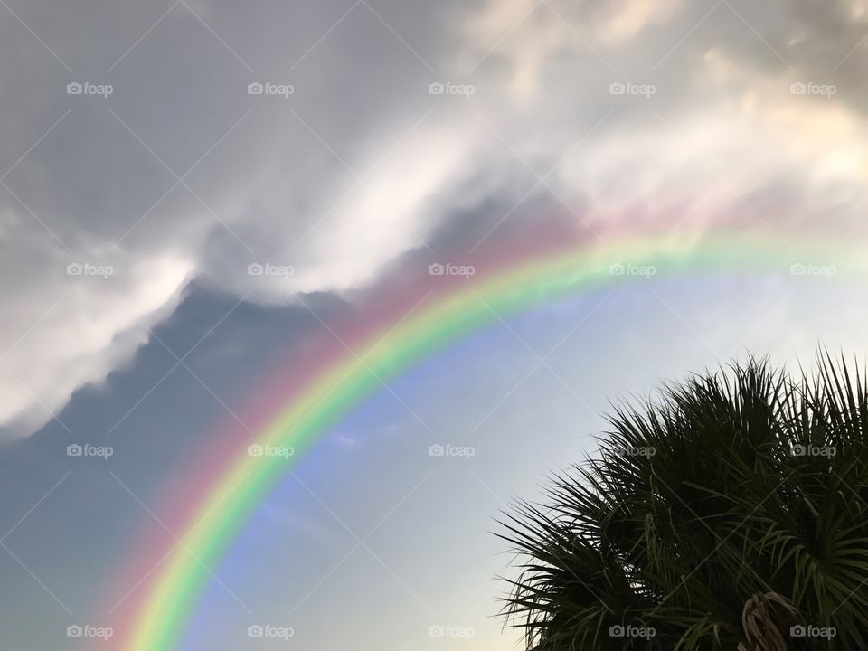 A rainbow after the storm.