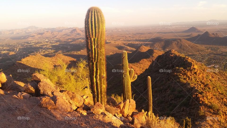 Sunset Cactus Horizontal. A completed hike to top of Sunrise Trail Scottsdale Arizona McDowell Mountains. Image orentation horizontal