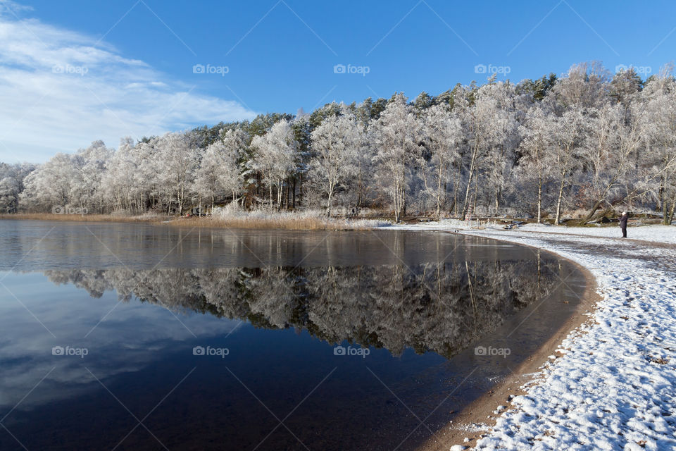 Beautiful frosty forest reflection in the lake 