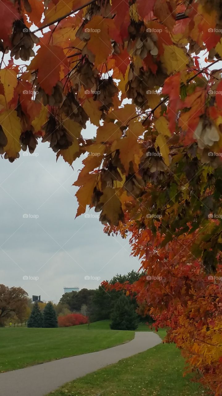 enjoying the fall leaves