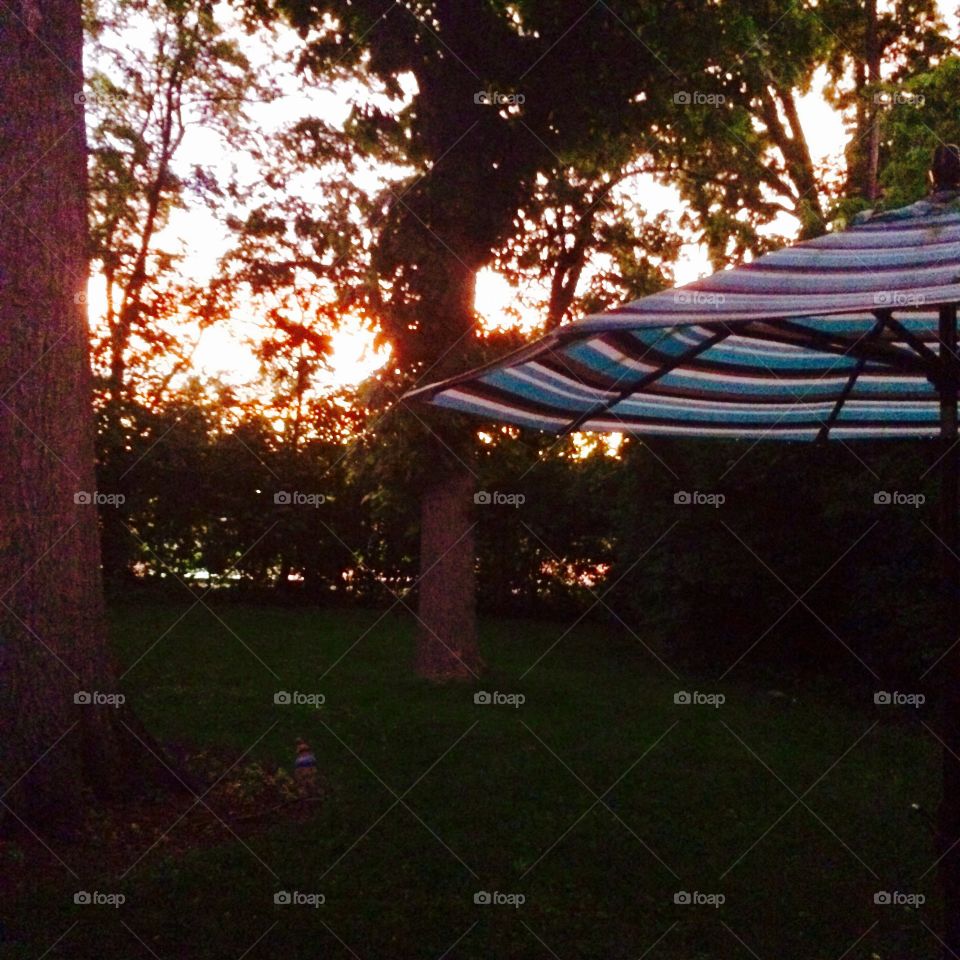 Backyard sunset