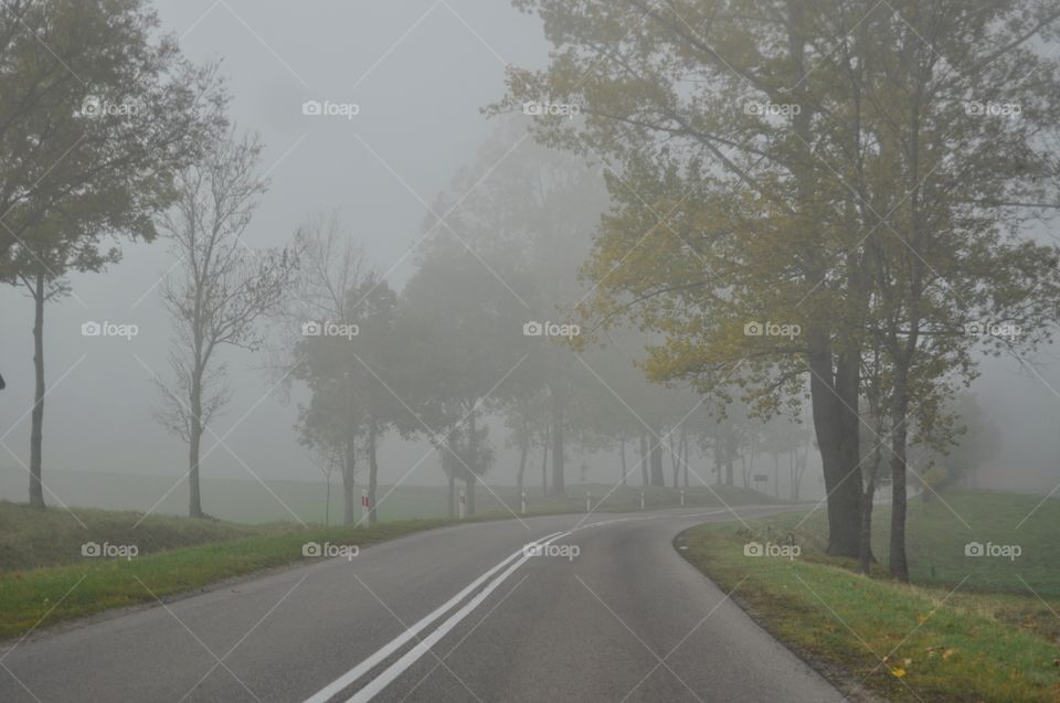 Empty road in foggy weather