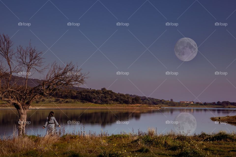 Moonlight at the lake 