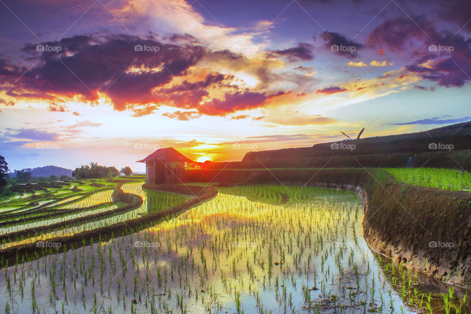 Beauty reflection sky with sunset in rice fields