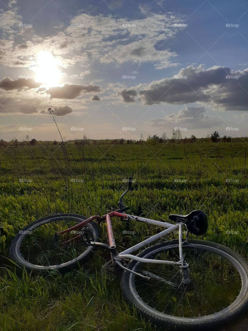 A bicycle in the middle of a green field on the background of a blue sky and white clouds