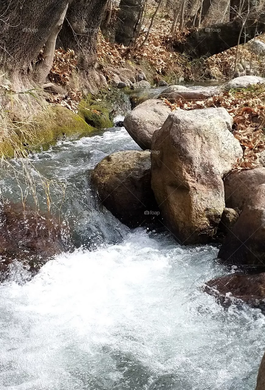 waters fall