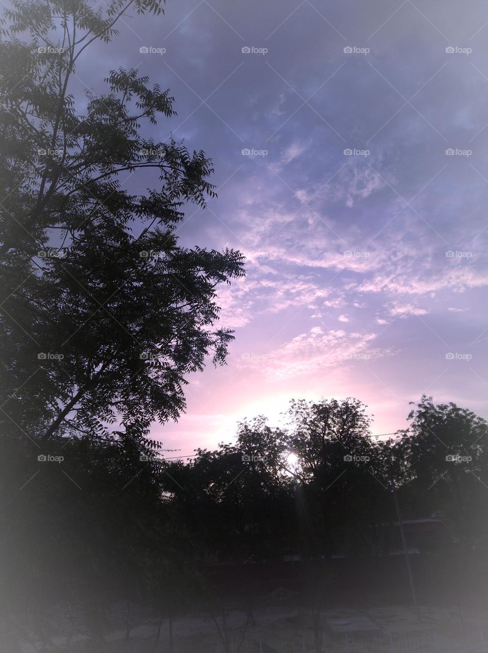 Just to sun set scene whites cloud scattered dark tree looks very beautiful