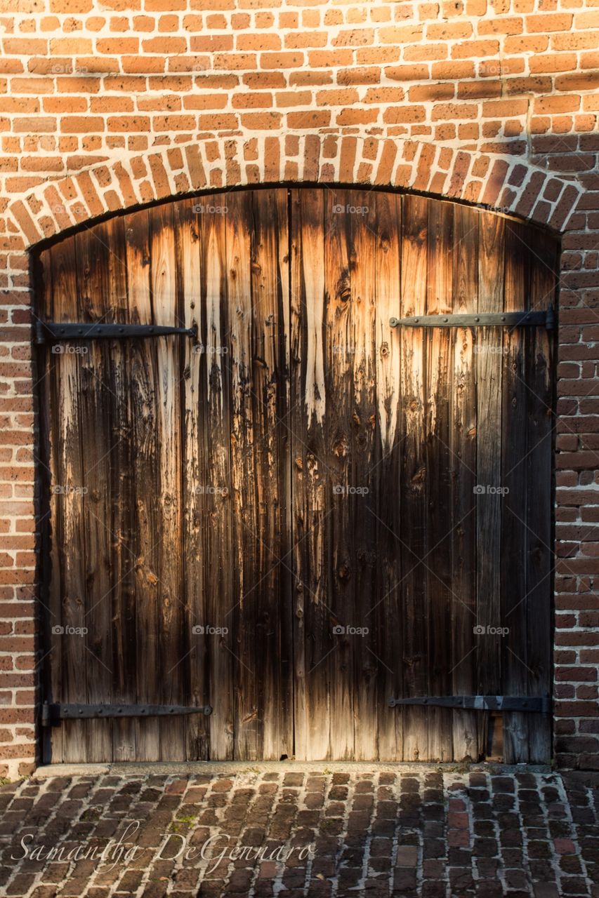 Wooden Door in Savannah