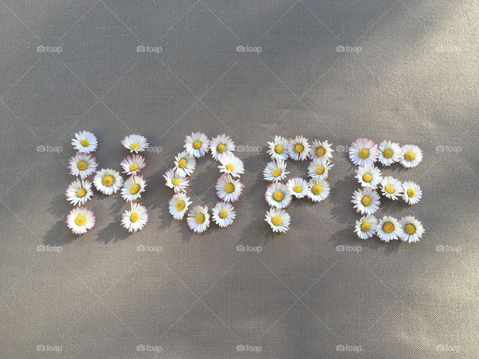 Hope message written with daisies 
