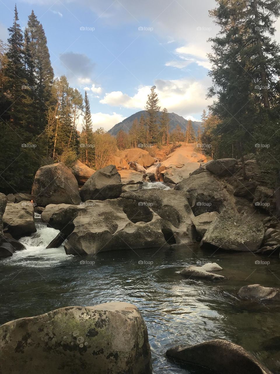 A Magic Moment in the Mountains 💜