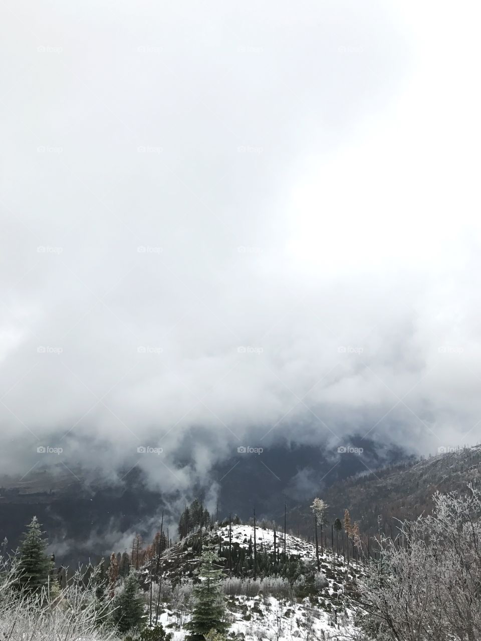 Snow clouds in Yosemite