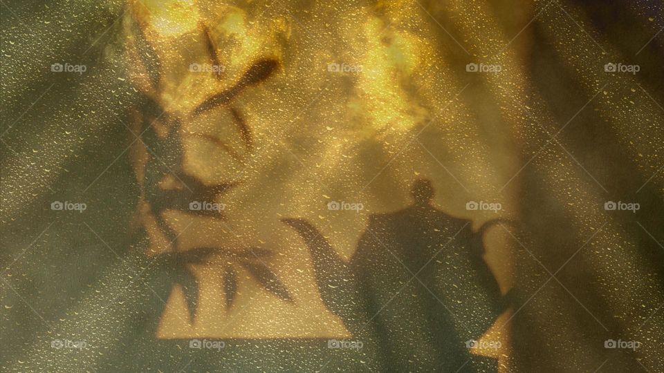 A teapot shadow against the sun's rays