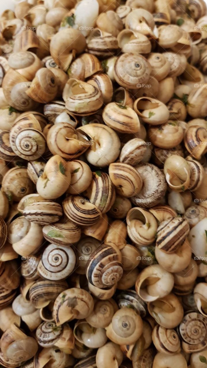 Snails, Portuguese cuisine snack