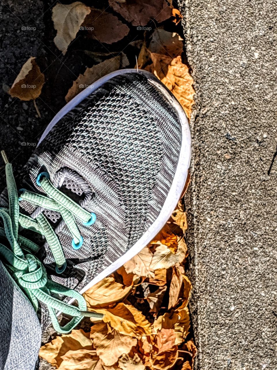 crunching through Autumn leaves