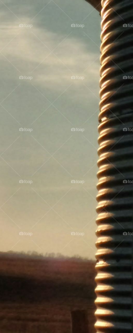 A Mid Summer's Day Dream