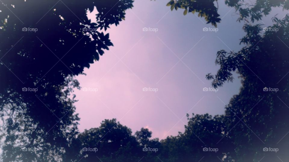 Natural UP India Chakia Chandauli