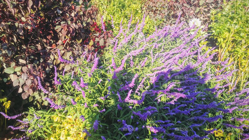 with a shadow of a doubt