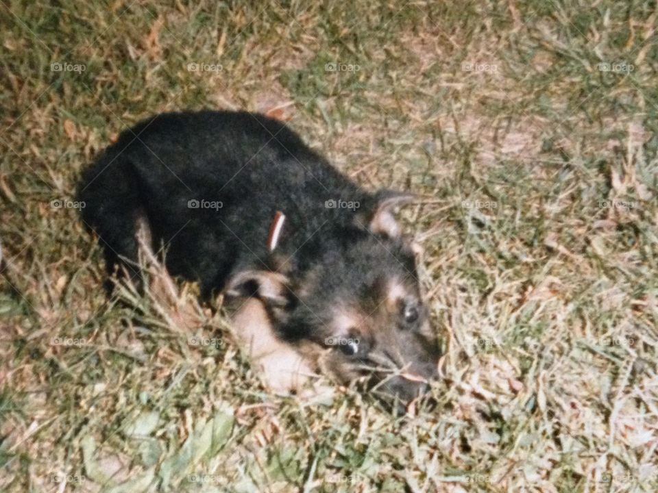 This is a photo I took approximately 35 to 40 years ago.