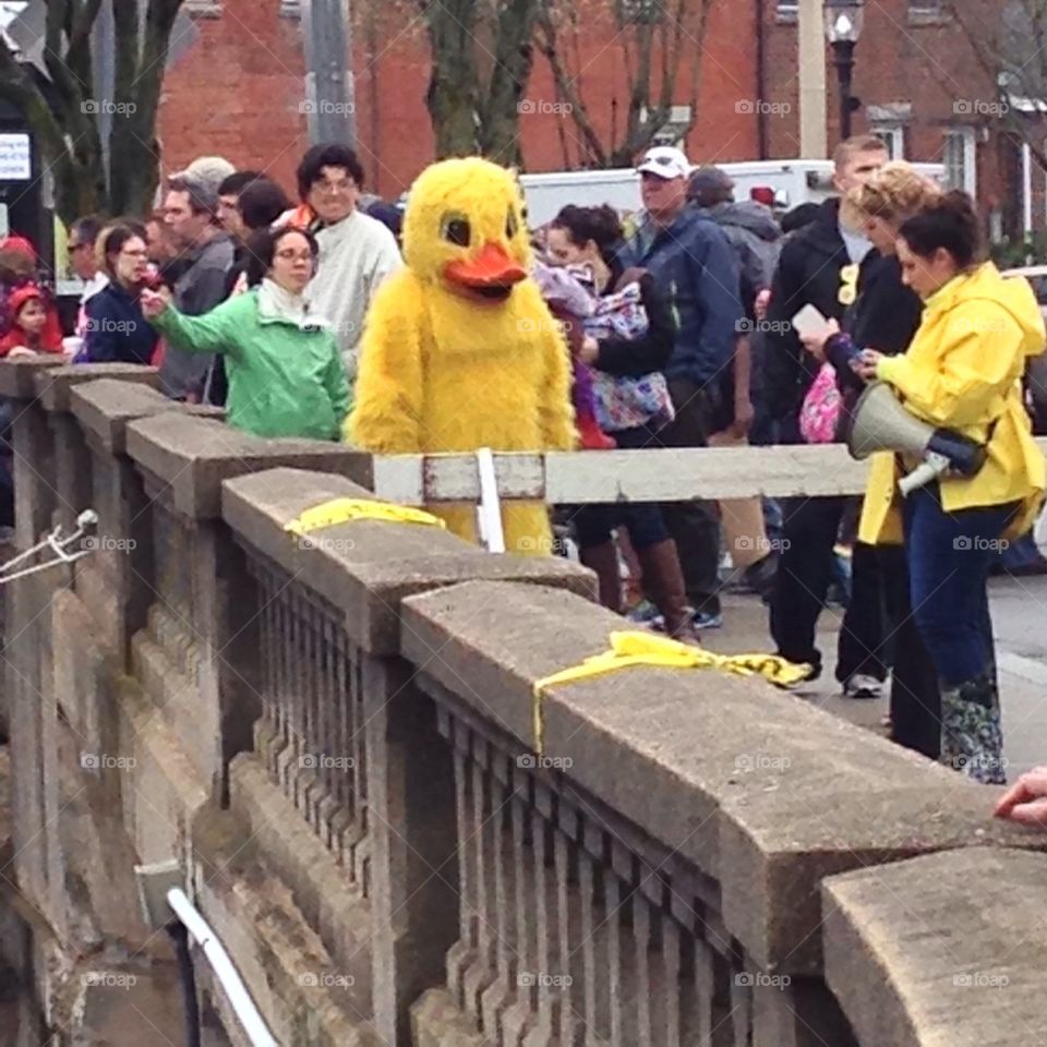 Duck race and the Duck just hanging out