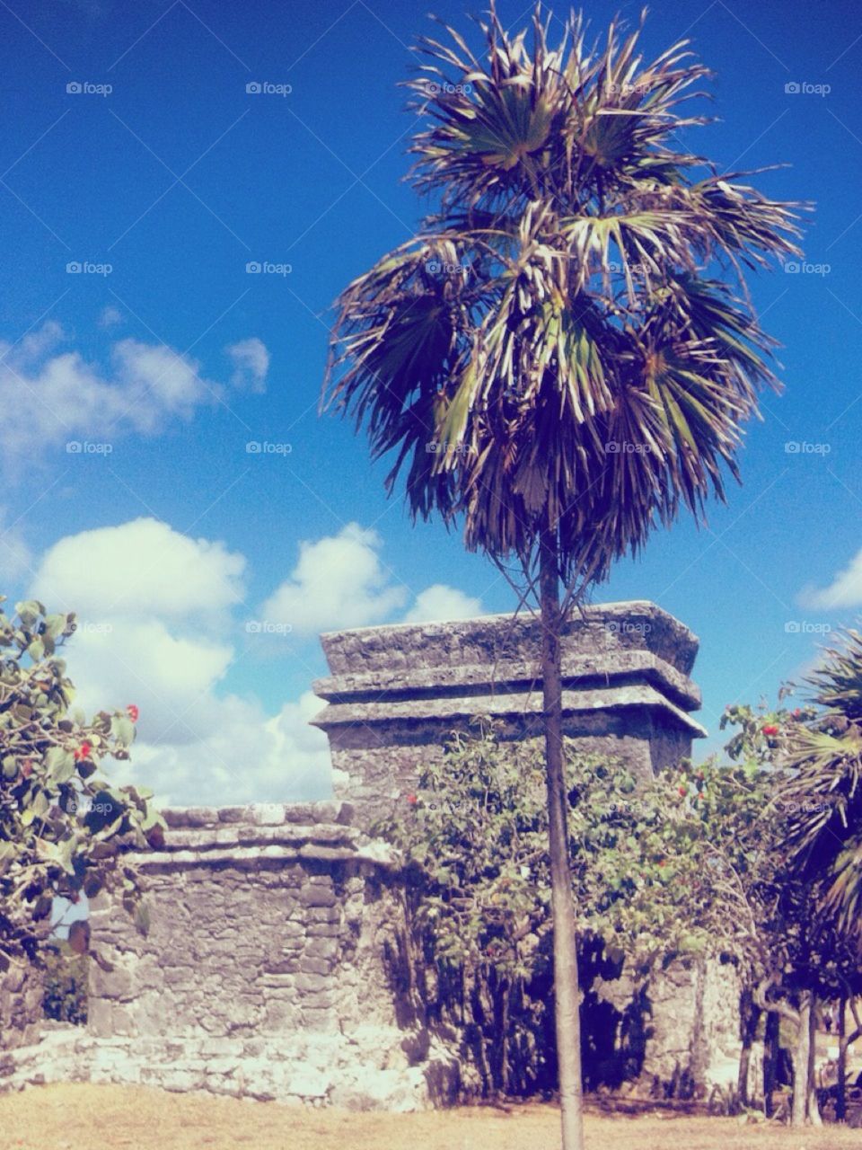 Mayan Ruins