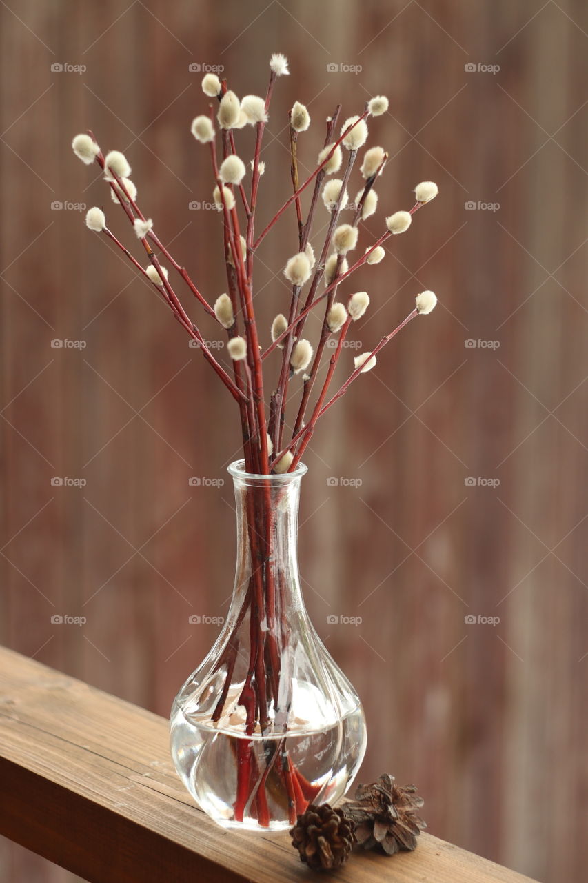 willow branches in a vase