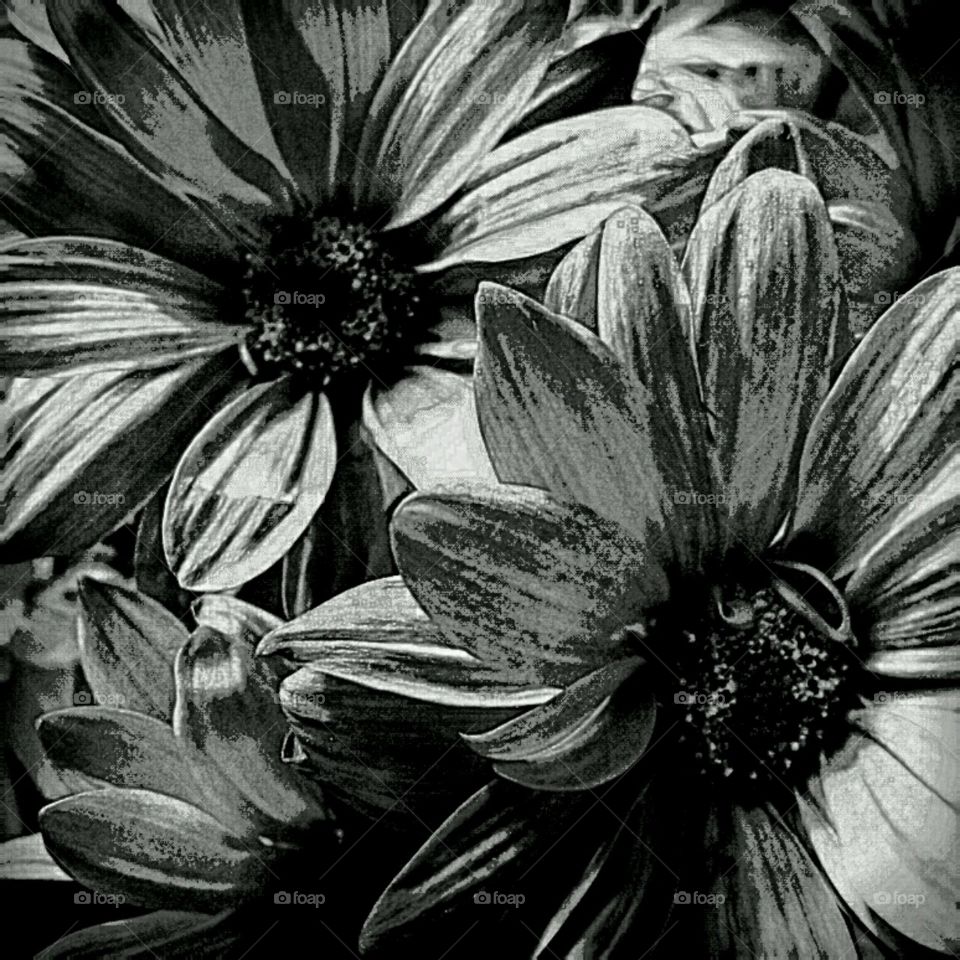 b+w lighting effects