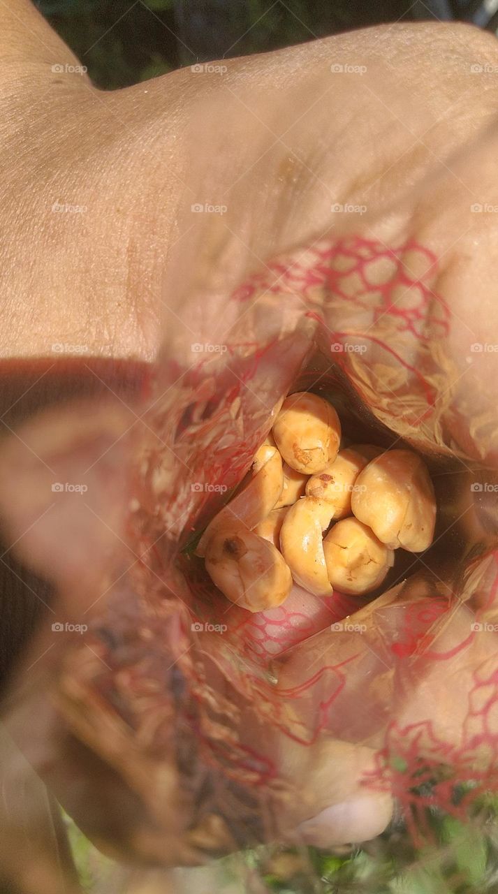 Eat fried peanuts in plastic