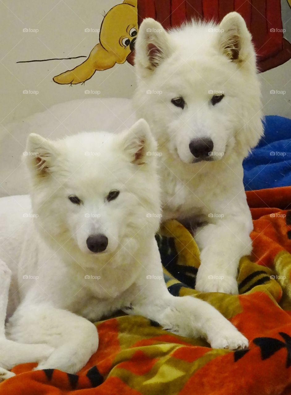 Brother & Sister Forever