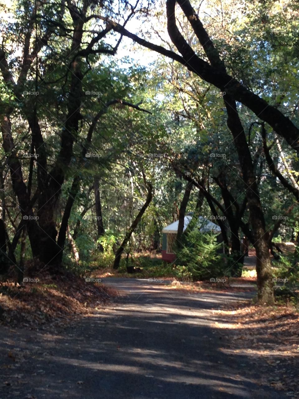 Around the corner. This is my view around the corner from my RV as I travel, staying in Calistoga, a slice of paradise!