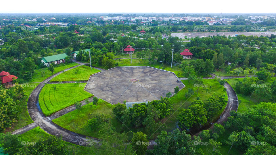 Landscape, Tree, Nature, Wood, Travel