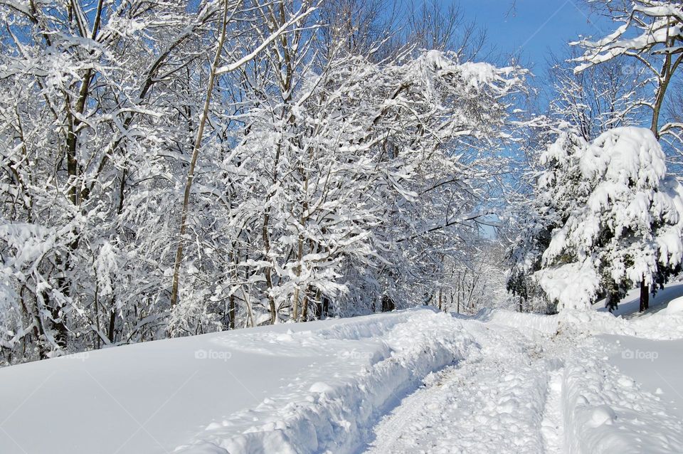 Snow covered road in the winter 