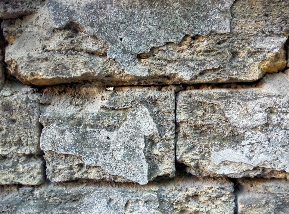 wall of shells стена ракушняк