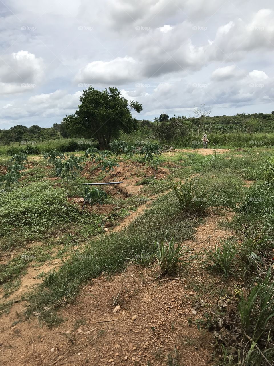 Project Sooriyawewa 3