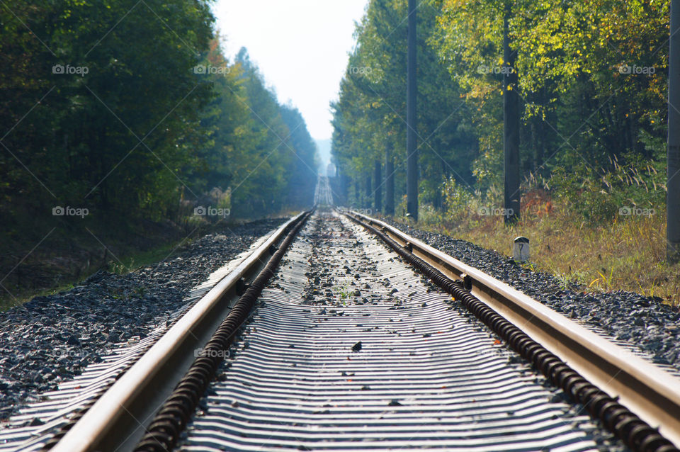 railway, running through the autumn forest