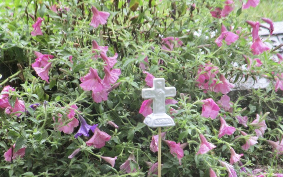 A small, white, ceramic cross in front of purple flowers and green plants