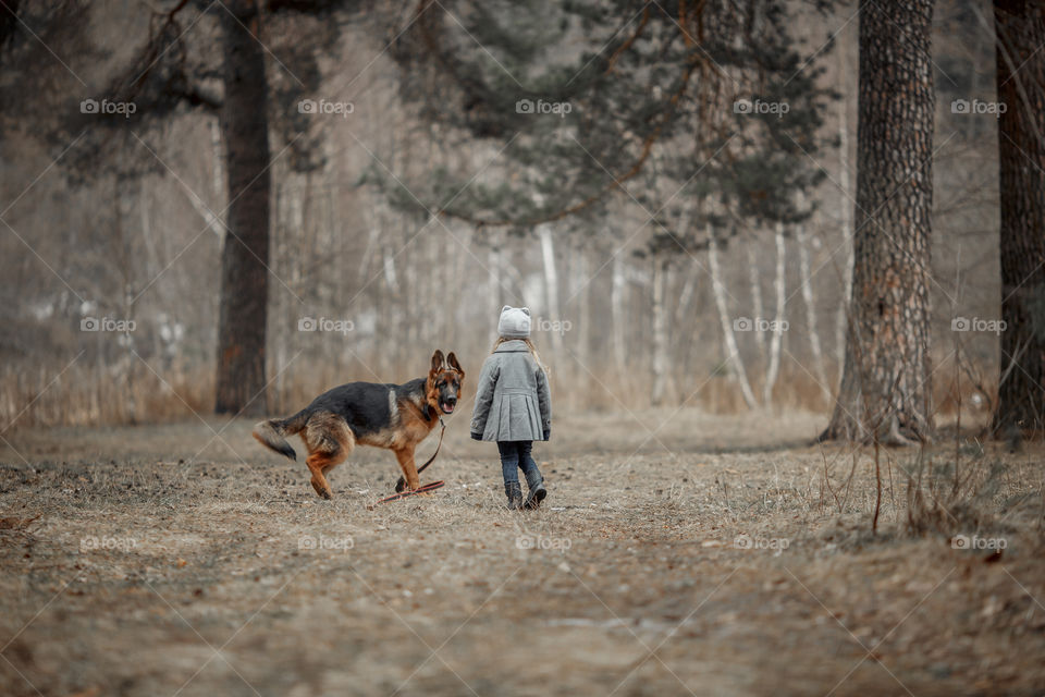 Little girl with German shepherd young male dog walking outdoor at spring day