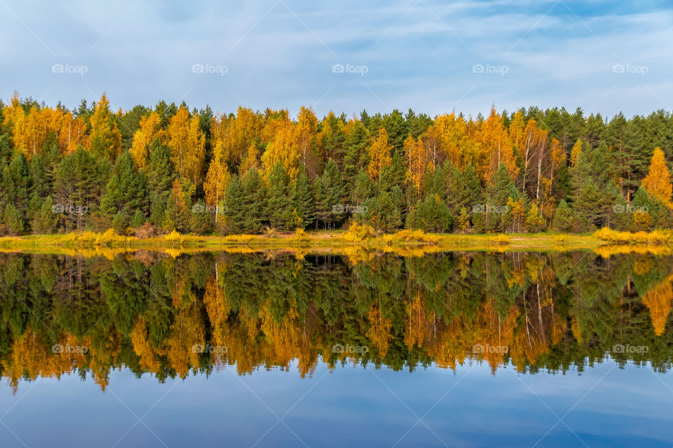 Beautiful panorama of green and yellow trees on the shore of the river