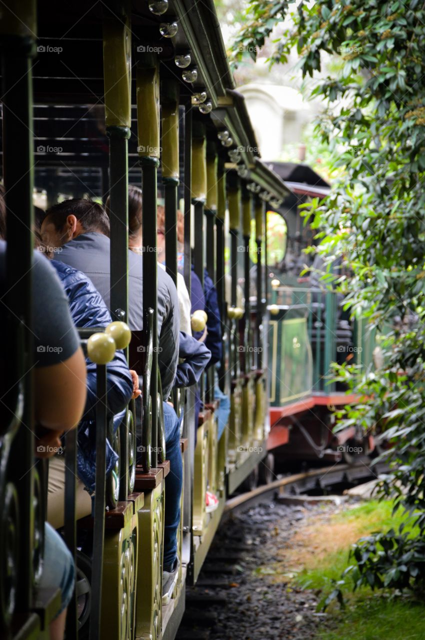 Train viewpoint