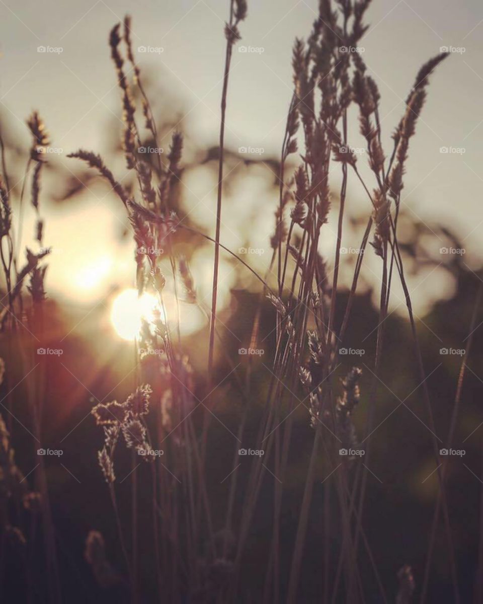 Sunset of lovely Autumn 