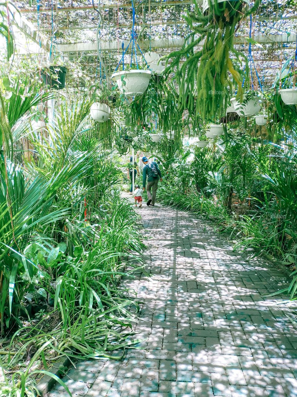 walk deep in to the forest garden. Beautiful green garden with the fresh air